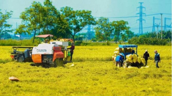 Xây dựng Sổ tay hướng dẫn thực hiện Chương trình mục tiêu quốc gia giai đoạn 2026 – 2030